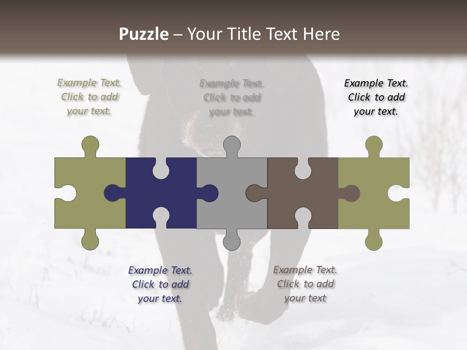 Chocolate Labrador Retriever Snow Background Playing Dog PowerPoint Template