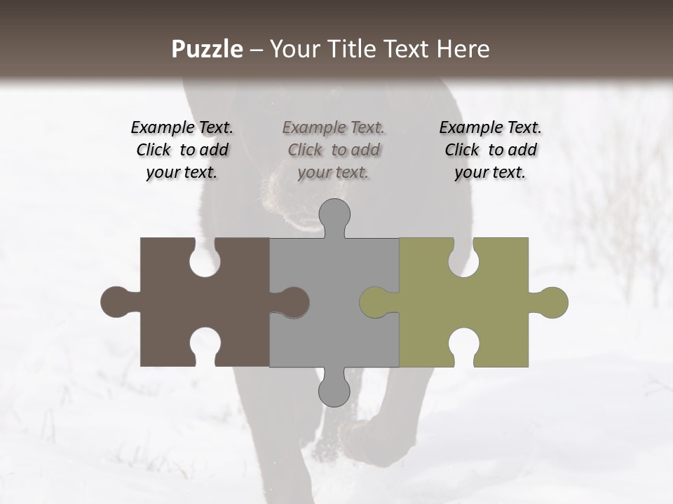 Chocolate Labrador Retriever Snow Background Playing Dog PowerPoint Template