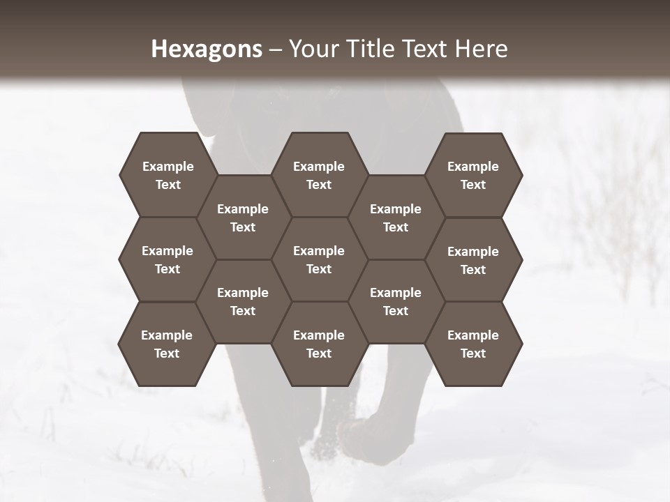 Chocolate Labrador Retriever Snow Background Playing Dog PowerPoint Template