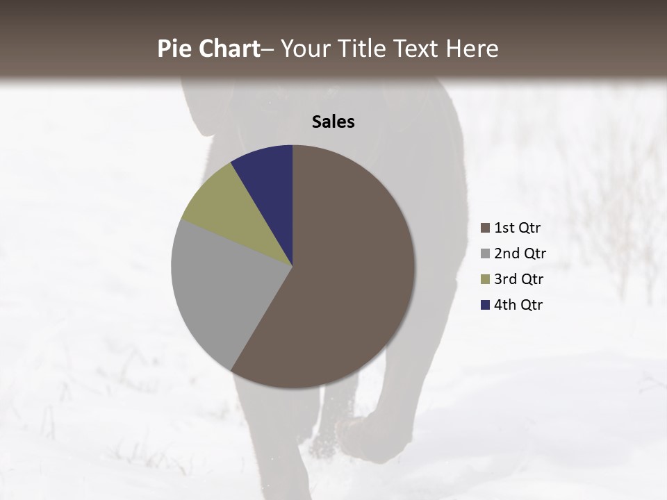 Chocolate Labrador Retriever Snow Background Playing Dog PowerPoint Template