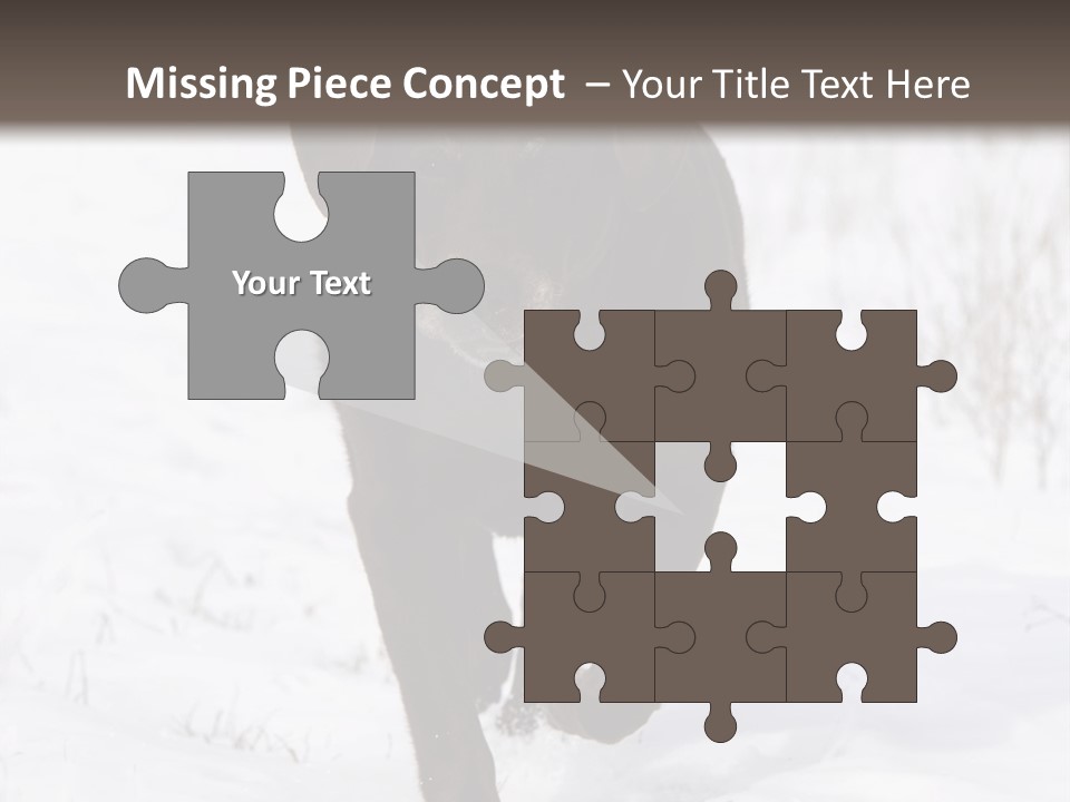 Chocolate Labrador Retriever Snow Background Playing Dog PowerPoint Template