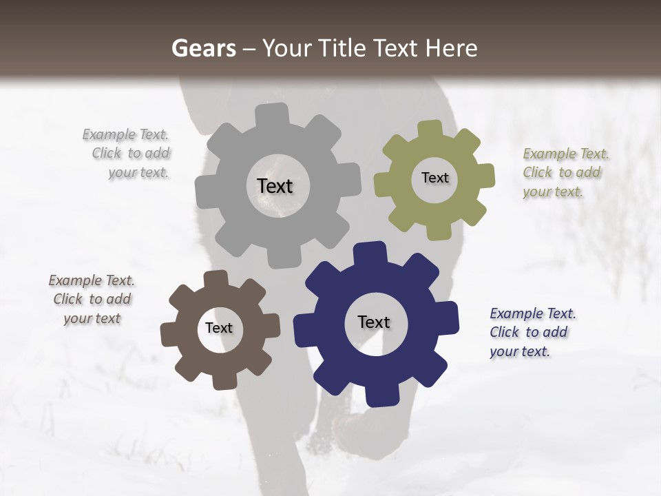 Chocolate Labrador Retriever Snow Background Playing Dog PowerPoint Template