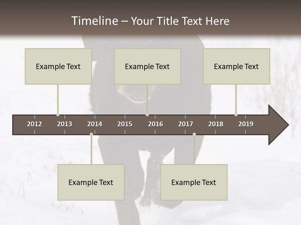 Chocolate Labrador Retriever Snow Background Playing Dog PowerPoint Template