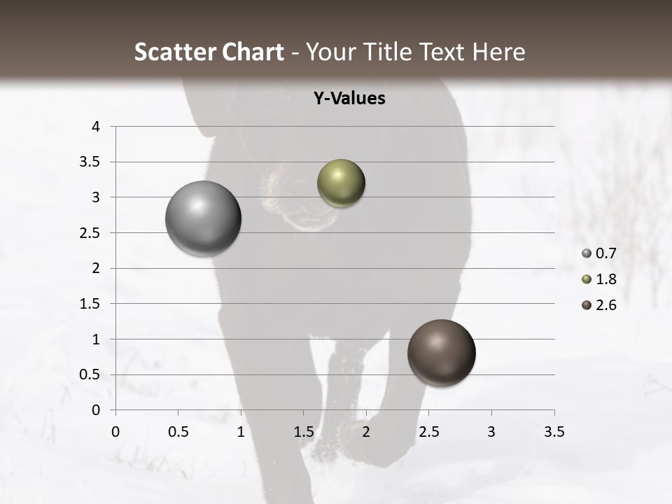 Chocolate Labrador Retriever Snow Background Playing Dog PowerPoint Template