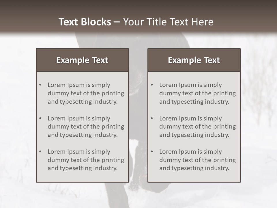 Chocolate Labrador Retriever Snow Background Playing Dog PowerPoint Template