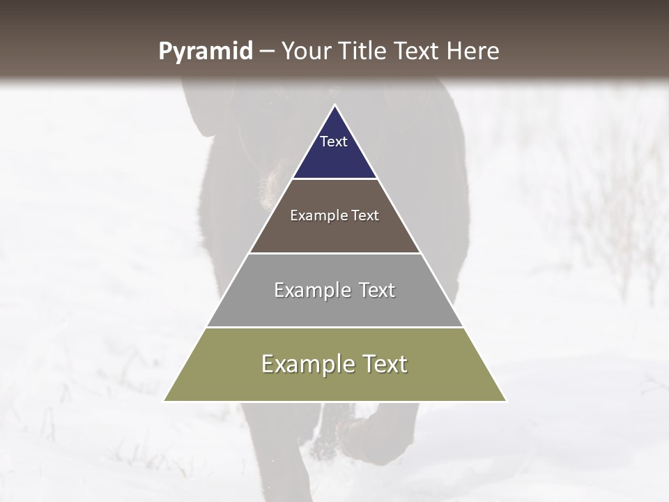 Chocolate Labrador Retriever Snow Background Playing Dog PowerPoint Template