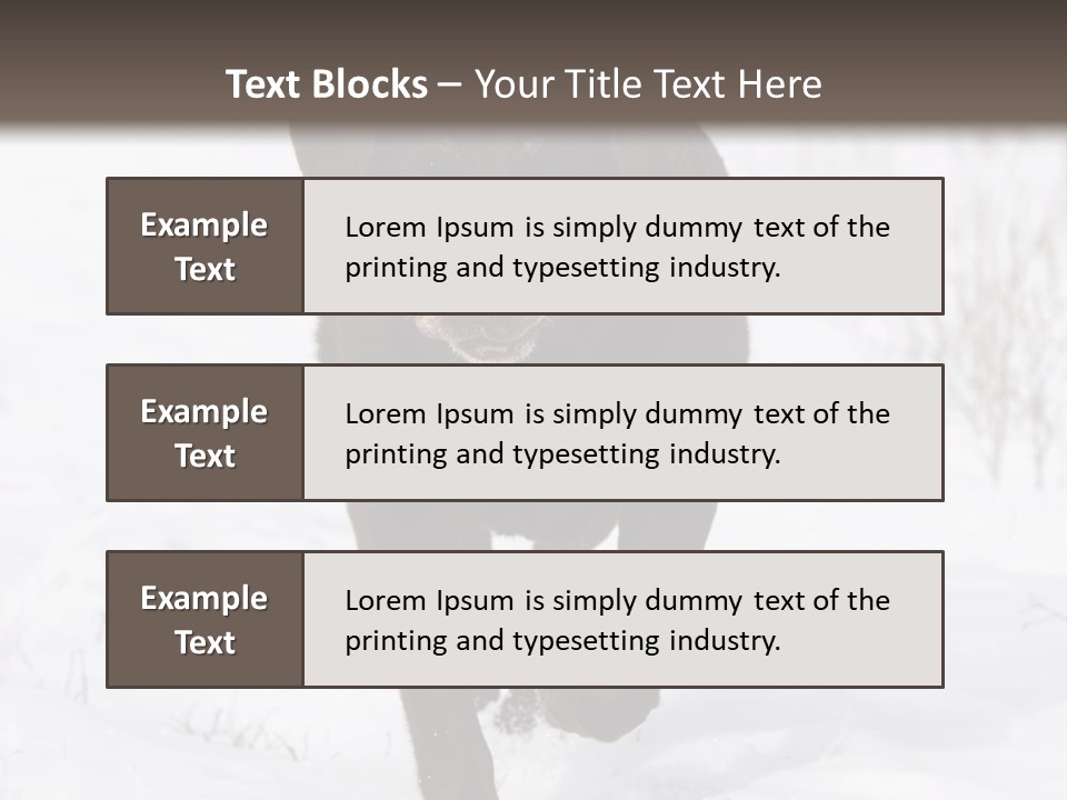 Chocolate Labrador Retriever Snow Background Playing Dog PowerPoint Template