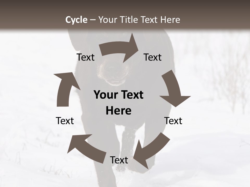 Chocolate Labrador Retriever Snow Background Playing Dog PowerPoint Template