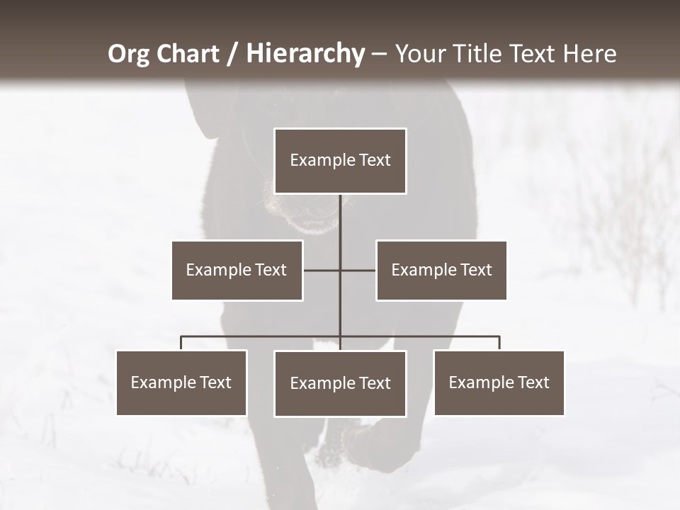 Chocolate Labrador Retriever Snow Background Playing Dog PowerPoint Template