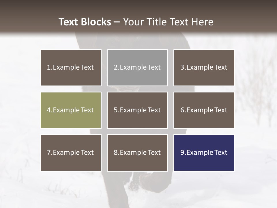 Chocolate Labrador Retriever Snow Background Playing Dog PowerPoint Template