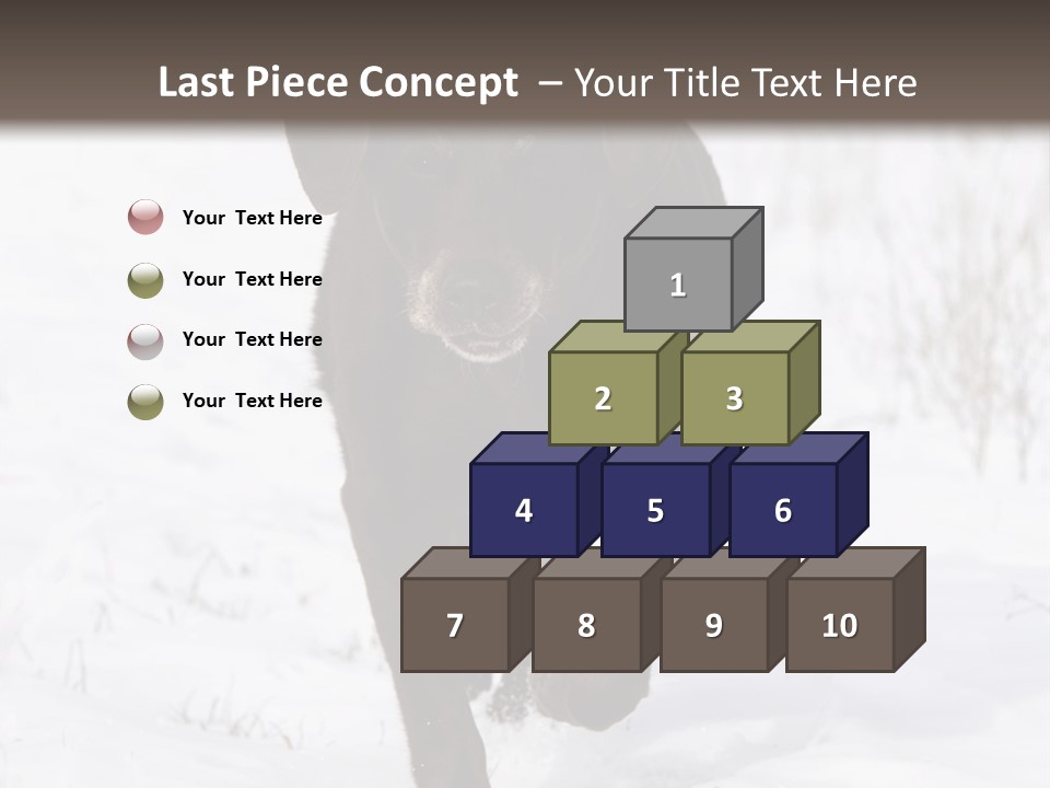 Chocolate Labrador Retriever Snow Background Playing Dog PowerPoint Template