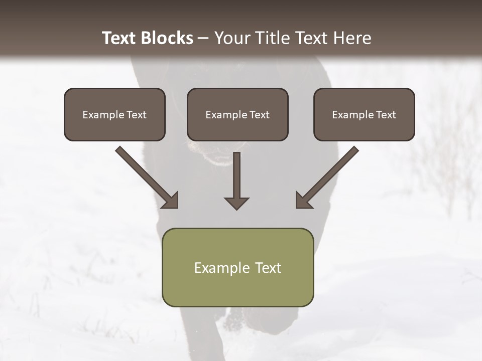 Chocolate Labrador Retriever Snow Background Playing Dog PowerPoint Template