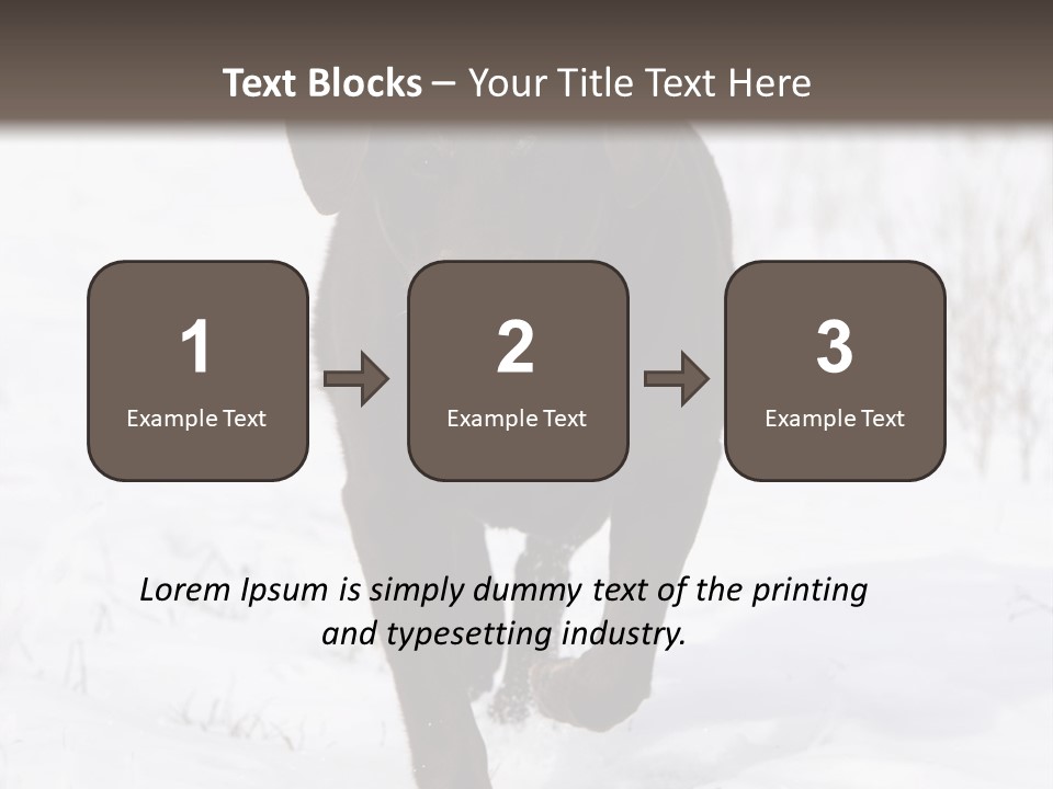 Chocolate Labrador Retriever Snow Background Playing Dog PowerPoint Template