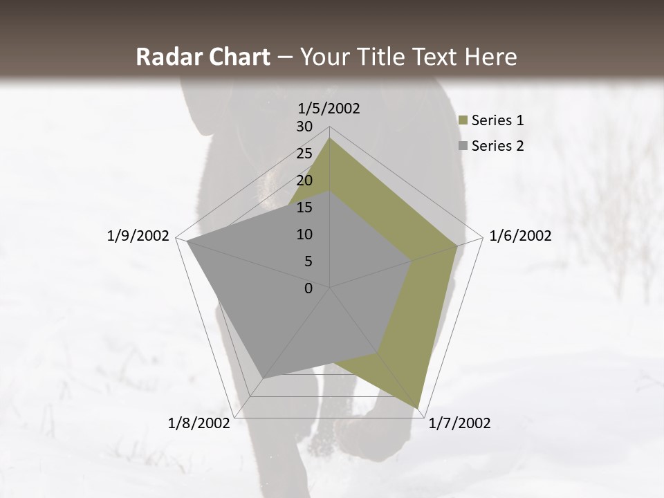 Chocolate Labrador Retriever Snow Background Playing Dog PowerPoint Template