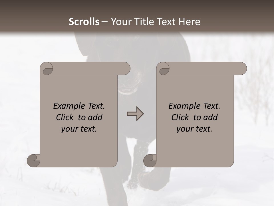 Chocolate Labrador Retriever Snow Background Playing Dog PowerPoint Template