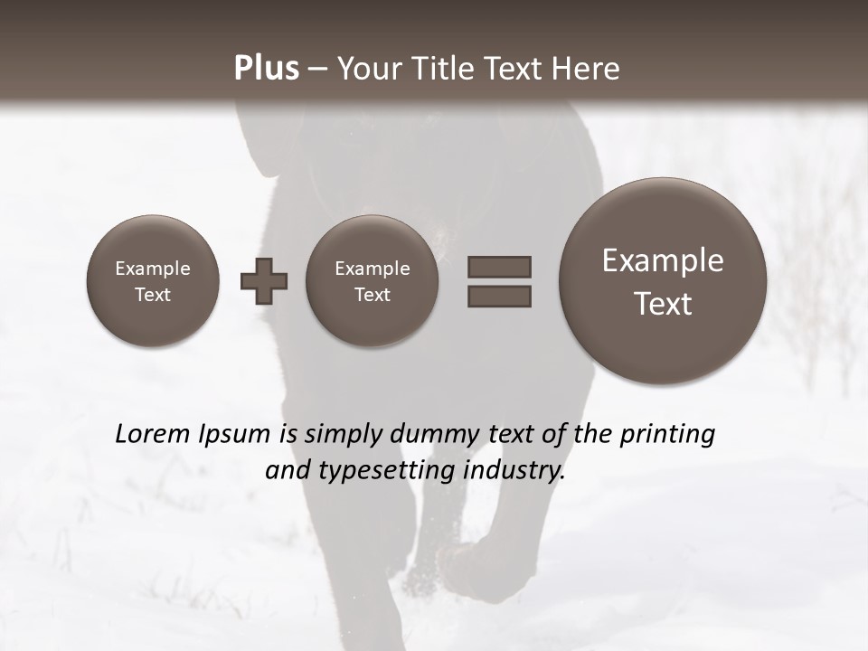 Chocolate Labrador Retriever Snow Background Playing Dog PowerPoint Template