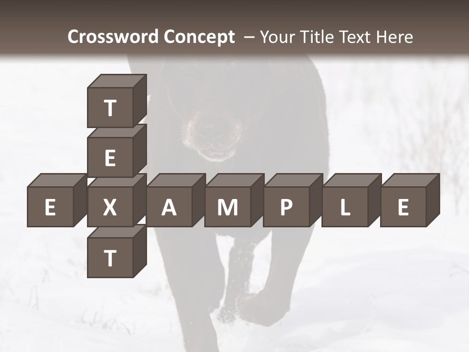 Chocolate Labrador Retriever Snow Background Playing Dog PowerPoint Template
