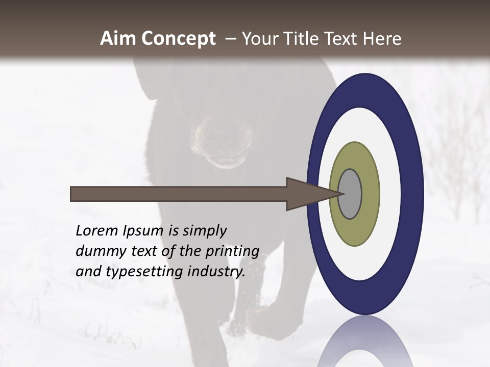 Chocolate Labrador Retriever Snow Background Playing Dog PowerPoint Template