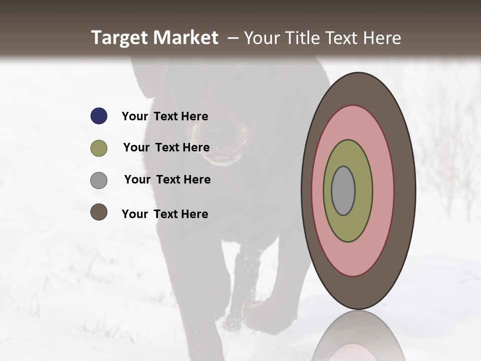 Chocolate Labrador Retriever Snow Background Playing Dog PowerPoint Template