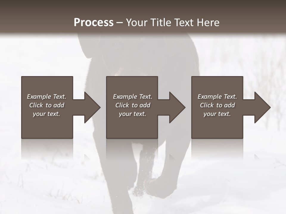 Chocolate Labrador Retriever Snow Background Playing Dog PowerPoint Template