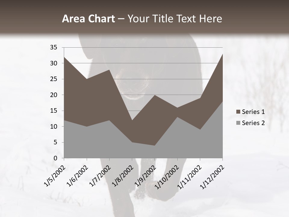 Chocolate Labrador Retriever Snow Background Playing Dog PowerPoint Template