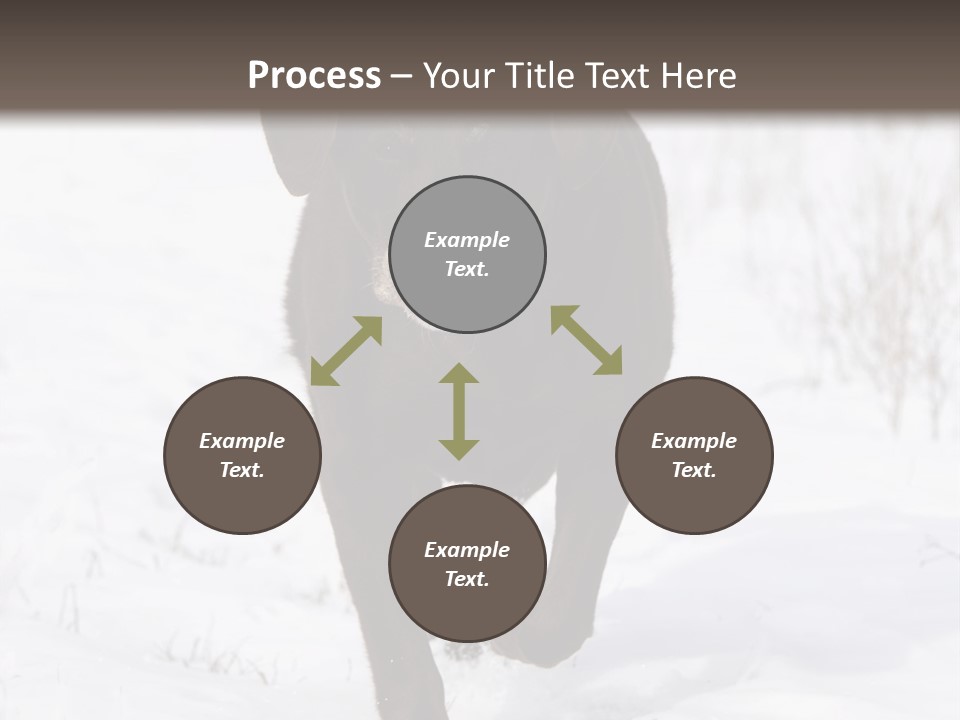 Chocolate Labrador Retriever Snow Background Playing Dog PowerPoint Template