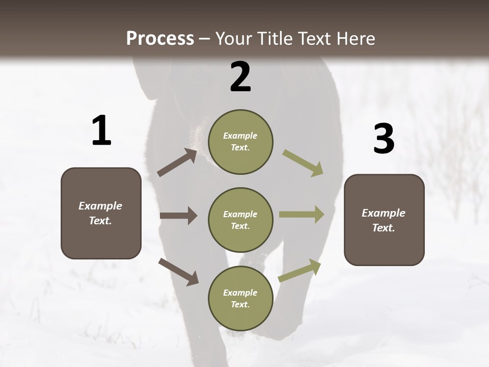 Chocolate Labrador Retriever Snow Background Playing Dog PowerPoint Template