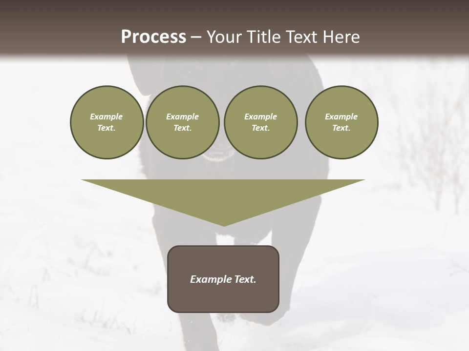 Chocolate Labrador Retriever Snow Background Playing Dog PowerPoint Template