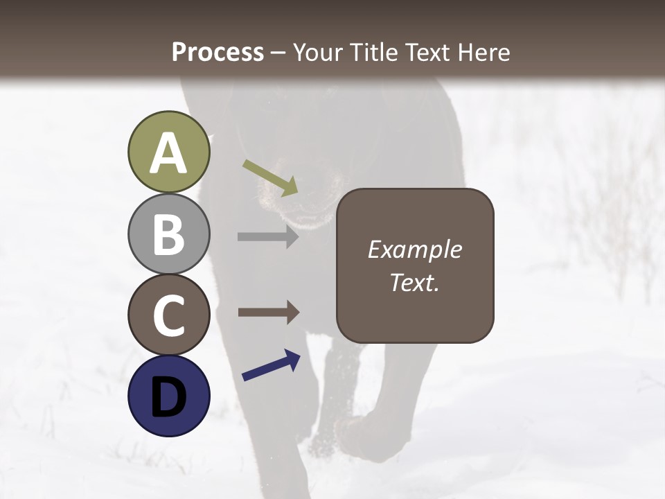 Chocolate Labrador Retriever Snow Background Playing Dog PowerPoint Template