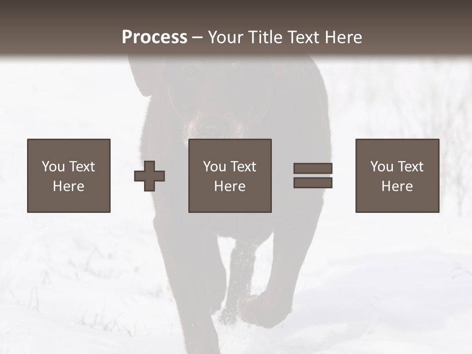 Chocolate Labrador Retriever Snow Background Playing Dog PowerPoint Template