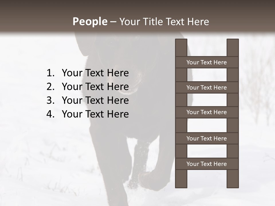 Chocolate Labrador Retriever Snow Background Playing Dog PowerPoint Template
