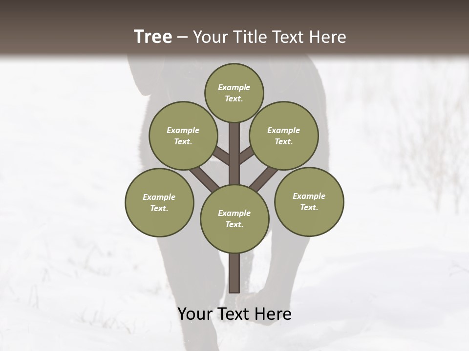 Chocolate Labrador Retriever Snow Background Playing Dog PowerPoint Template