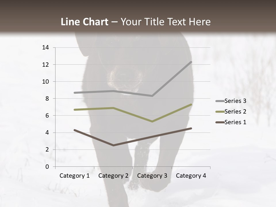 Chocolate Labrador Retriever Snow Background Playing Dog PowerPoint Template