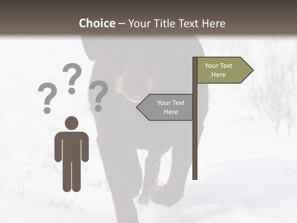 Chocolate Labrador Retriever Snow Background Playing Dog PowerPoint Template