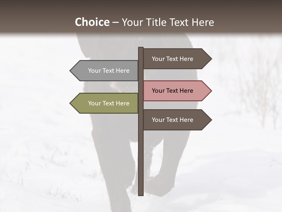 Chocolate Labrador Retriever Snow Background Playing Dog PowerPoint Template