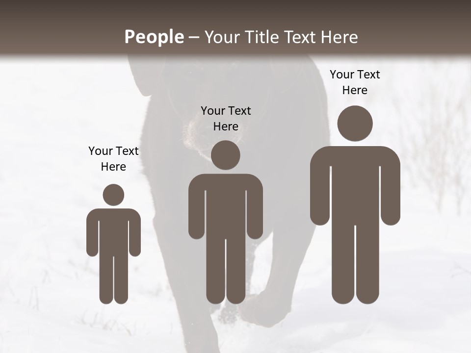 Chocolate Labrador Retriever Snow Background Playing Dog PowerPoint Template
