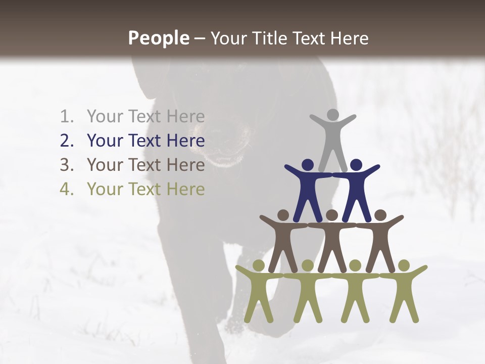 Chocolate Labrador Retriever Snow Background Playing Dog PowerPoint Template