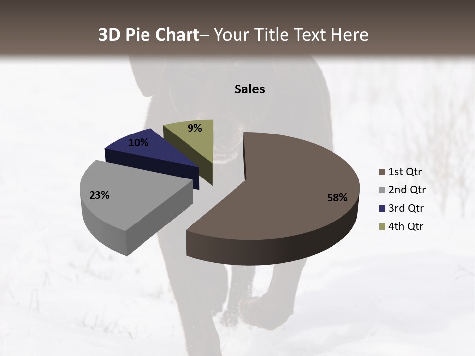 Chocolate Labrador Retriever Snow Background Playing Dog PowerPoint Template