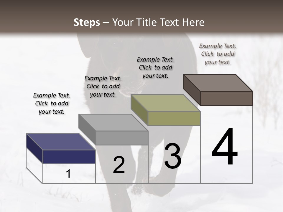Chocolate Labrador Retriever Snow Background Playing Dog PowerPoint Template