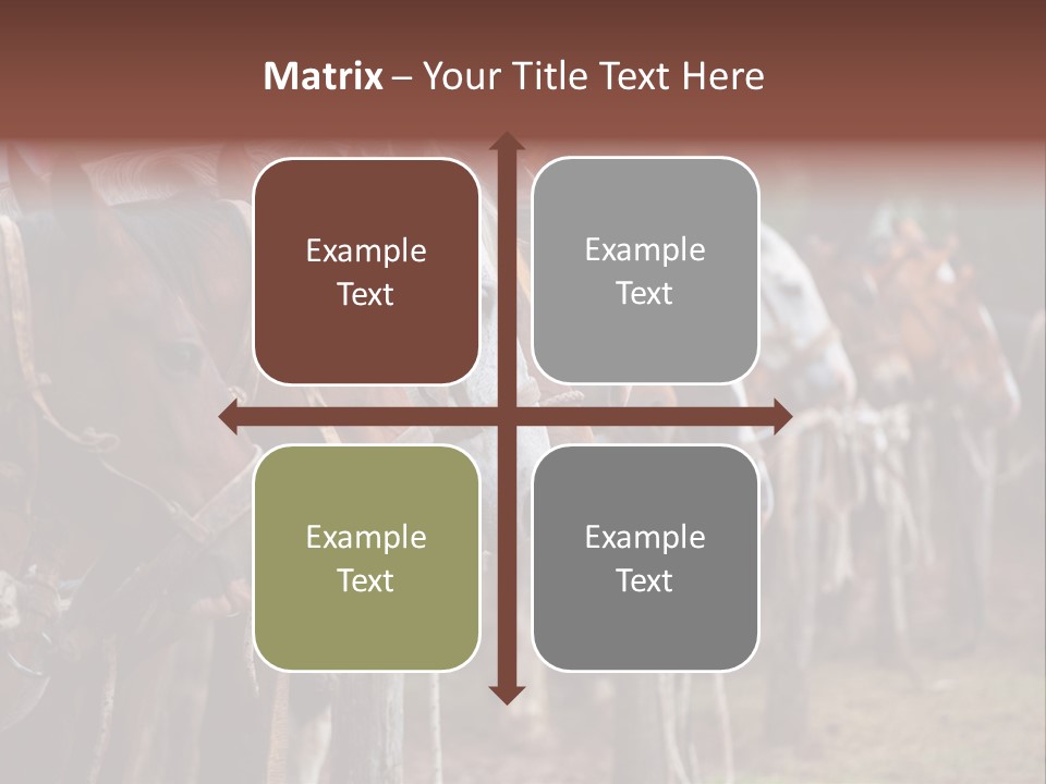 Exhibitions Rancher Horse PowerPoint Template