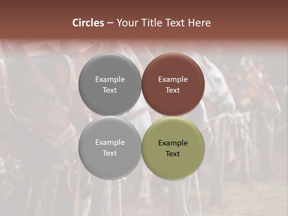 Exhibitions Rancher Horse PowerPoint Template