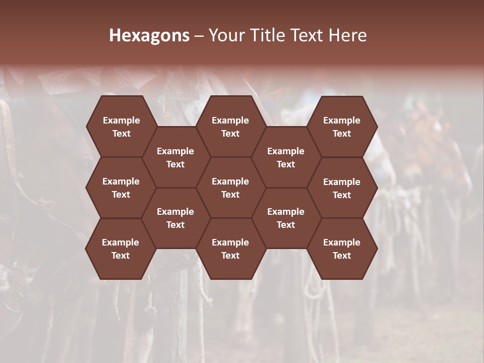 Exhibitions Rancher Horse PowerPoint Template