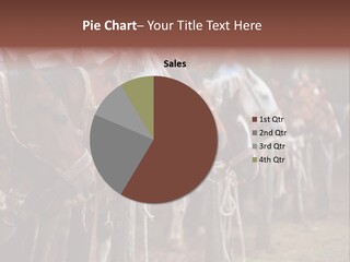 Exhibitions Rancher Horse PowerPoint Template