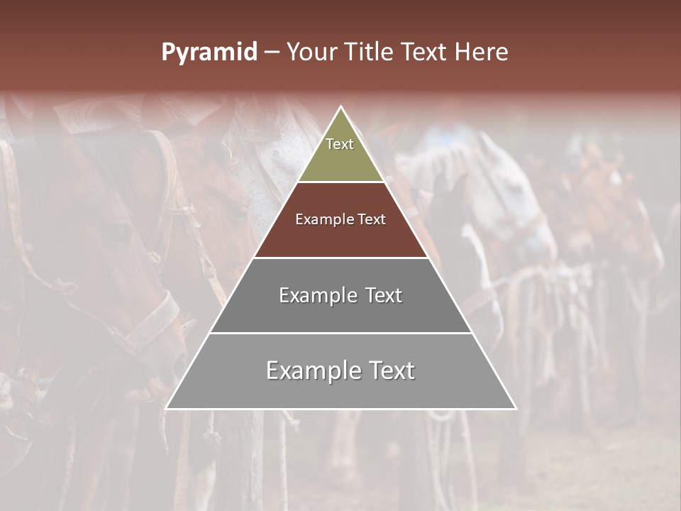 Exhibitions Rancher Horse PowerPoint Template