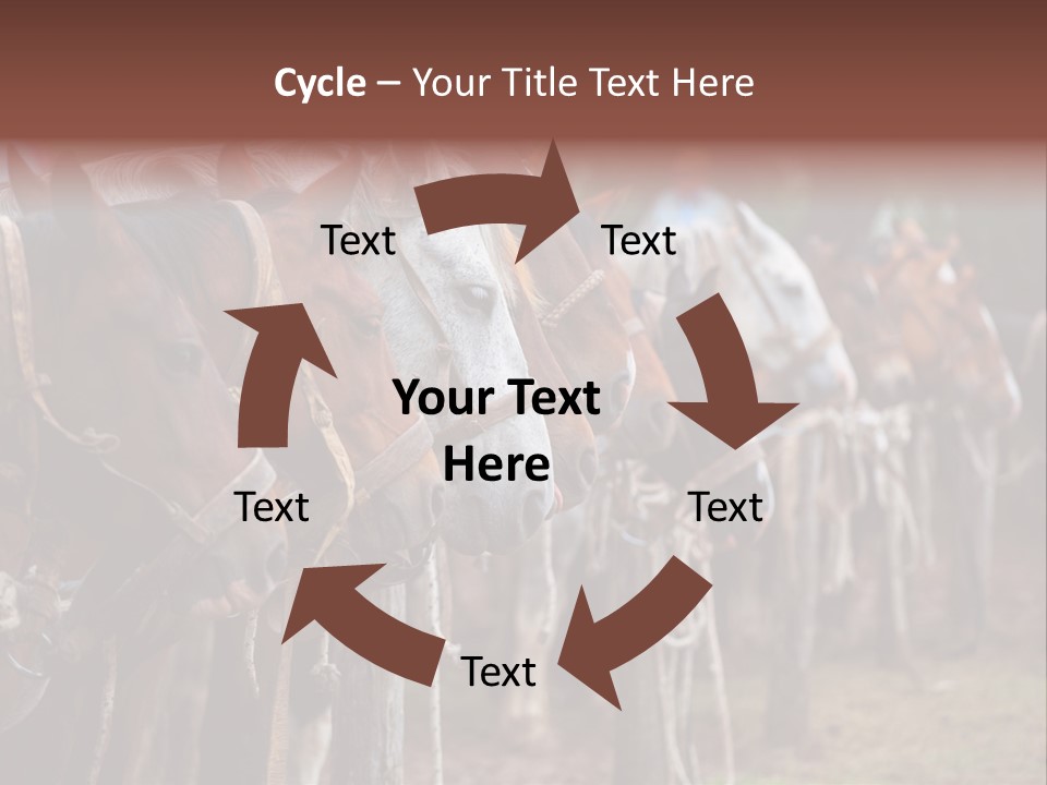 Exhibitions Rancher Horse PowerPoint Template