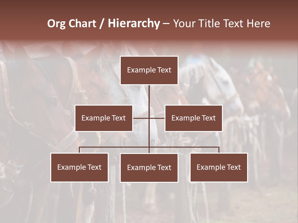 Exhibitions Rancher Horse PowerPoint Template