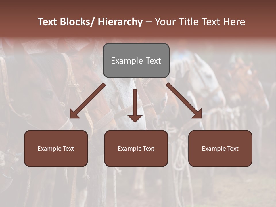 Exhibitions Rancher Horse PowerPoint Template