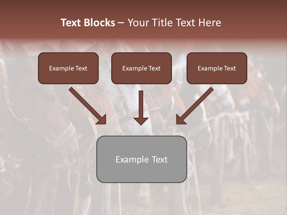 Exhibitions Rancher Horse PowerPoint Template