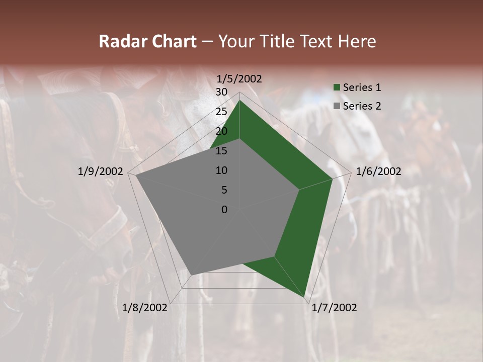 Exhibitions Rancher Horse PowerPoint Template