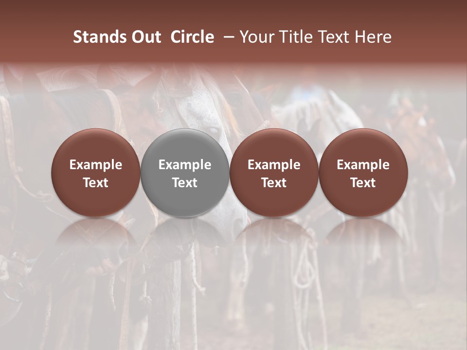 Exhibitions Rancher Horse PowerPoint Template